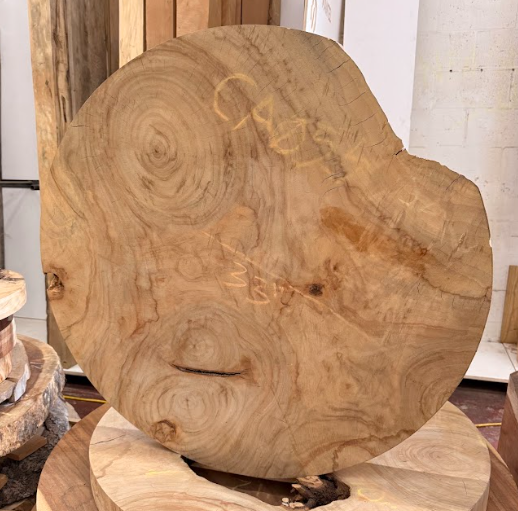 Camphor Rounds