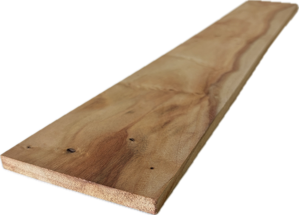 Camphor Thin Board | 3/8" × 3-7/8" × 24"