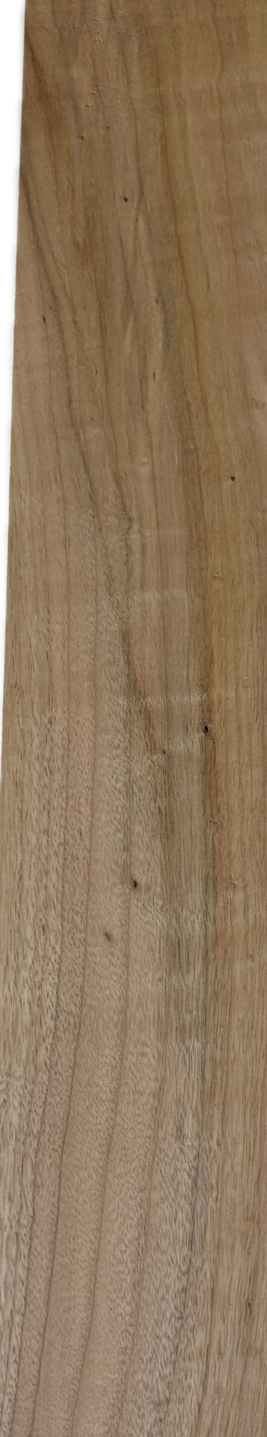 Camphor Thin Board | 3/8" × 3-7/8" × 24"