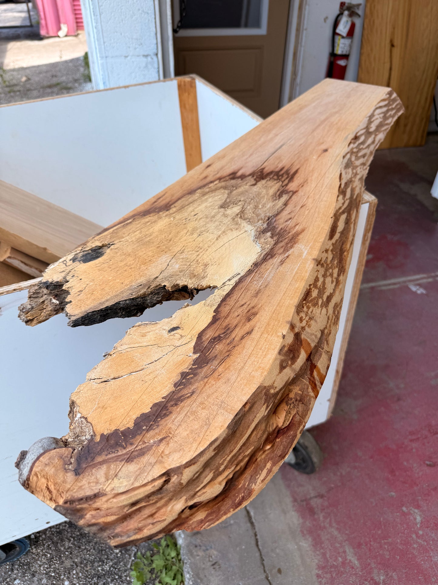 Live Edge Shelves – Raw & Ready to Finish