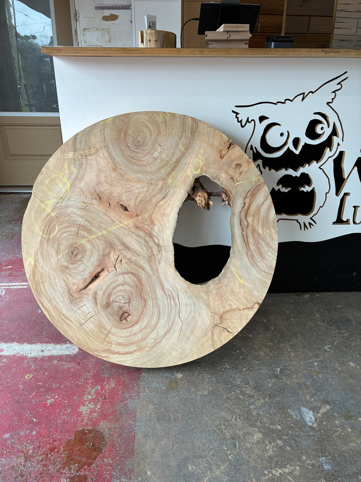 Camphor Round – 35" Diameter × 2¾" Thick | Locally Sourced & Kiln Dried