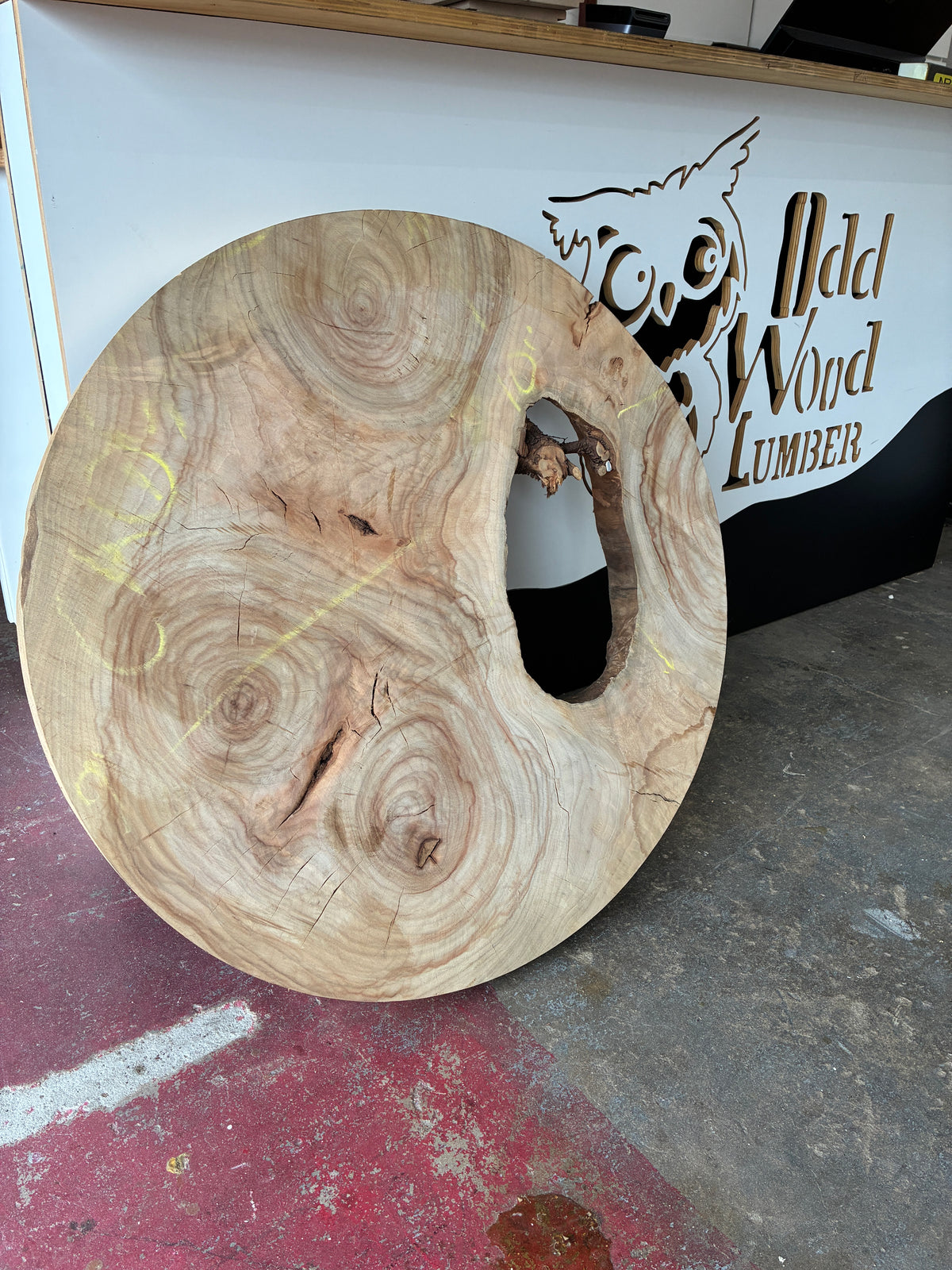 Camphor Round – 35" Diameter × 2¾" Thick | Locally Sourced & Kiln Dried