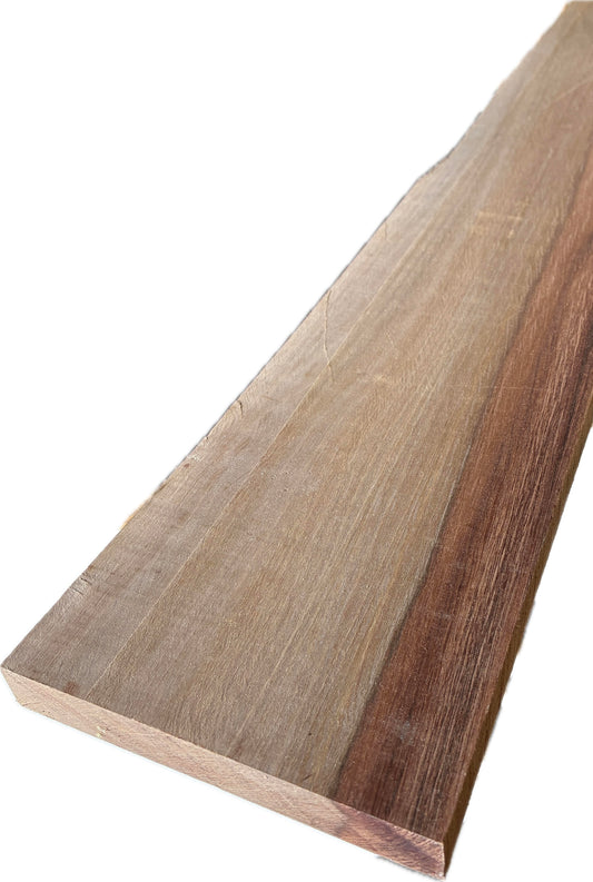 Australian Pine (Beefwood) Shorts